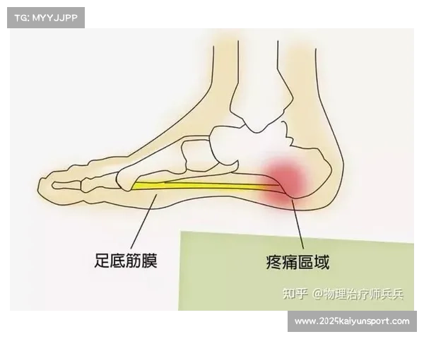 网球体能训练手册再版，新增运动康复与预防损伤章节